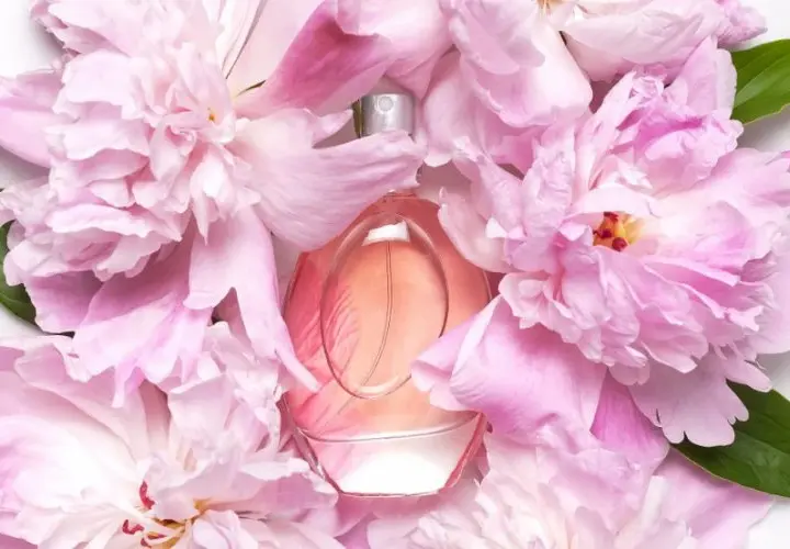 Perfumy z piwonią - Najlepsze zapachy dla miłośników kwiatowych nut