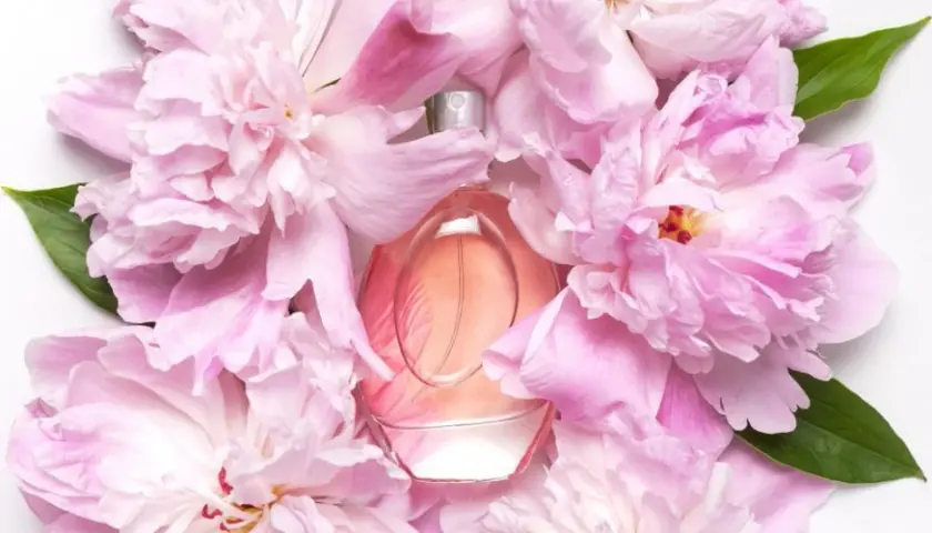 Perfumy z piwonią - Najlepsze zapachy dla miłośników kwiatowych nut