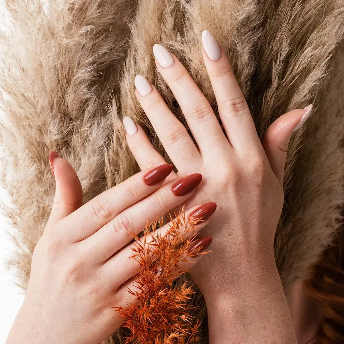 Zdjęcie Jak wygląda manicure hybrydowy? Odkryj jego zalety i etapy wykonania